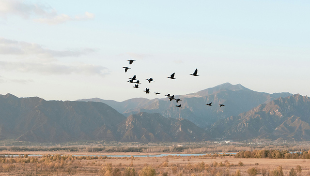 河北省教育厅在全省高校开展内审项目试点工作