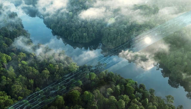 5年海外收入翻24倍，阳光电源出海加速