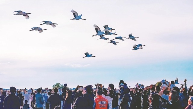 国家5A景区+19！黑龙江这里入选→