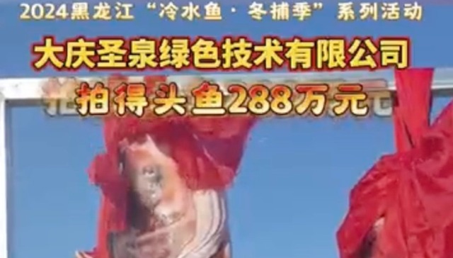 2024黑龙江“冷水鱼·冬捕季”启幕！