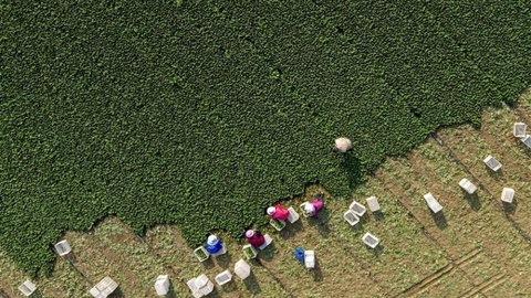 安慶市新簽約7個(gè)10億元以上綠色食品產(chǎn)業(yè)項(xiàng)目