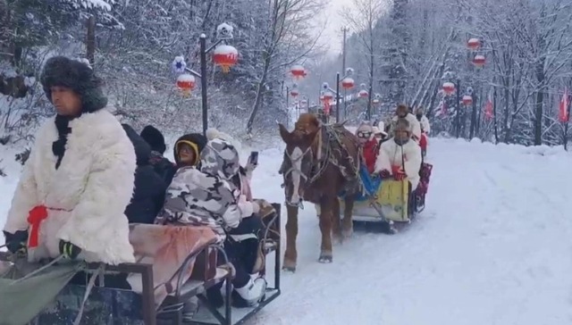 中国雪谷马帮载着游客勇闯“穿越线”，全程15公里