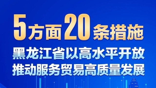 图解|黑龙江省以高水平开放推动服务贸易高质量发展若干措施