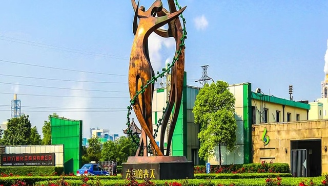 六国化工拟募资8亿元建设电池级精制磷酸项目  董秘：账上14亿元皆有用途