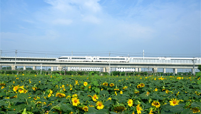 启新2025丨底气足！聊城以实干求突破