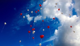 成都民營(yíng)企業(yè)向西藏地震災(zāi)區(qū)捐款120萬元：一起樹起重振家園的信心