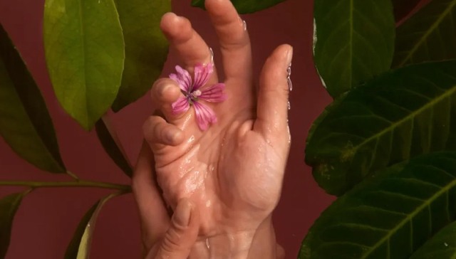 特别策划 | “老女孩”的一路繁花