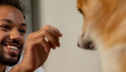 寵物年夜飯火爆，這屆年輕人狂掀寵物過年潮