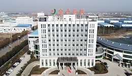 金丹科技67歲董事長張鵬離婚前妻分走4億，公司近年來利潤大幅下滑