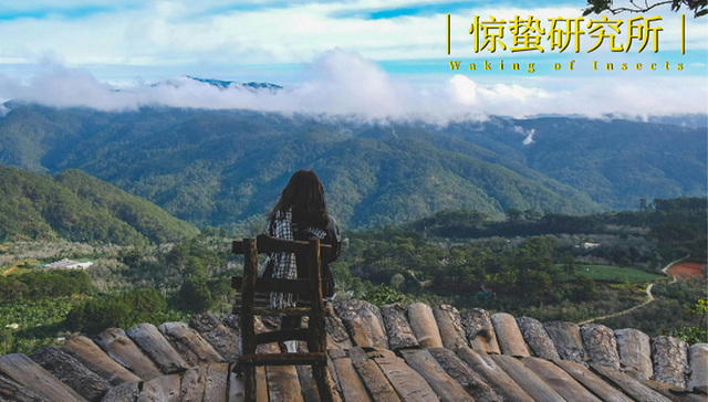 消费,疗愈,创业