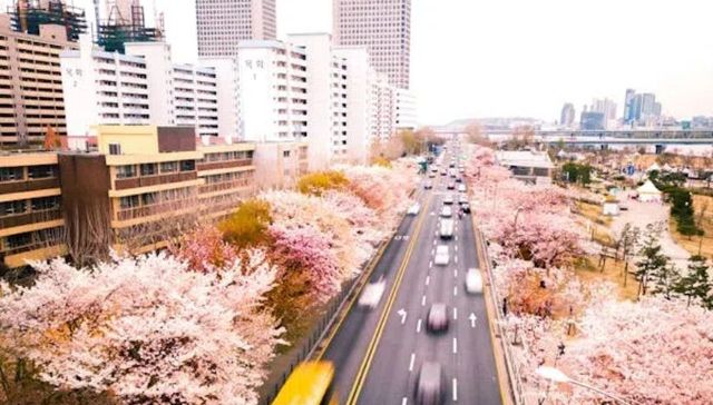 邯郸市公共交通运输大数据出炉 春节假期发送旅客逾460万人次