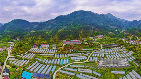 1440億元！安慶2024年農(nóng)產(chǎn)品加工值居全省前列