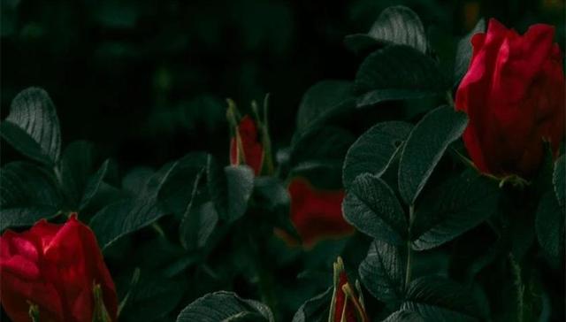 情人节祛魅：当年轻人开始用Excel计算浪漫