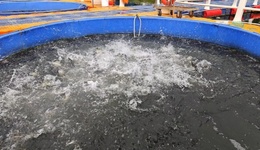 機(jī)器人、無(wú)人機(jī)“闖入”！成都春耕秒變“科技大片”