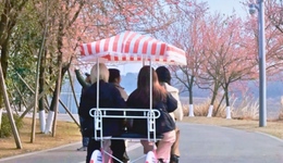 成都周邊4條賞花線路，地鐵直達(dá)花海！大多都免費(fèi)的哦！