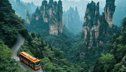 被骂上热搜的高价摆渡车，为什么景区誓死不改？