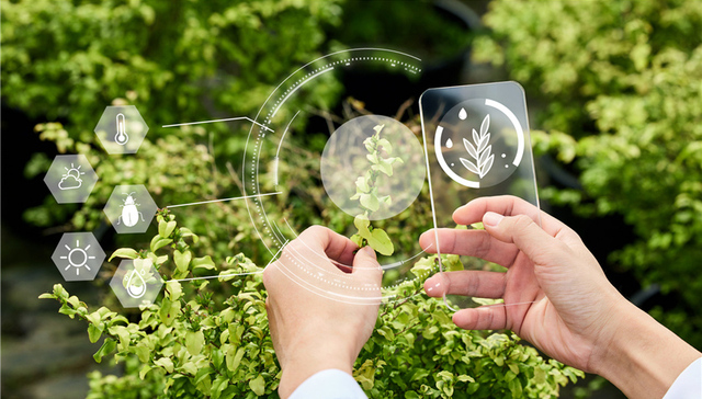 时评 | 2025年中央一号文件发布，对山东农业现代化有何影响？