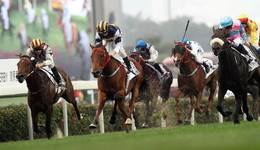 京东外卖凶猛，10万地推大军入局，有人日入近千元