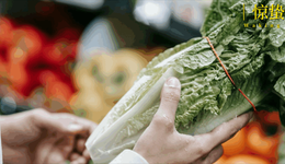 盒馬大撤退，倉(cāng)儲(chǔ)式會(huì)員店不香了？