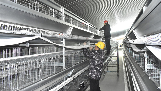 山东肥城：实干挑起高质量发展大梁