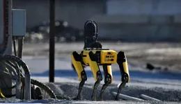 一年賣出3萬臺，機(jī)器狗究竟有啥用？