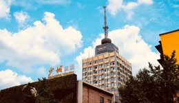 成都市青羊區(qū)少城國(guó)際文創(chuàng)谷入選四川省首批服務(wù)貿(mào)易特色基地