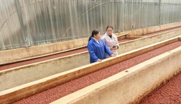 助力川菜魂，守護(hù)煙火氣——郵儲(chǔ)銀行成都市分行成功落地全省首筆集群E貸