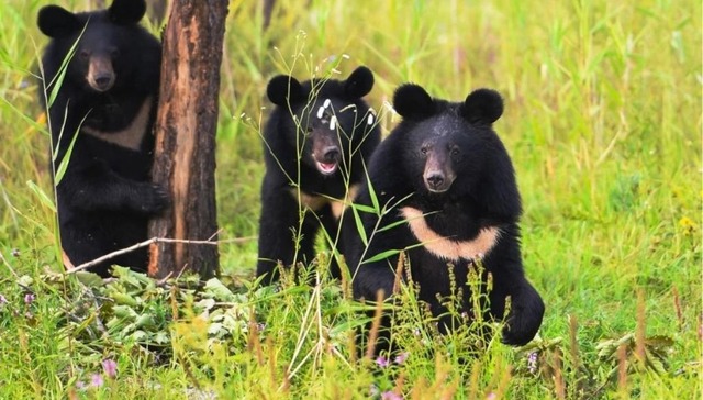 城市观察·抚远｜东极破晓：绘就龙江文旅新图景