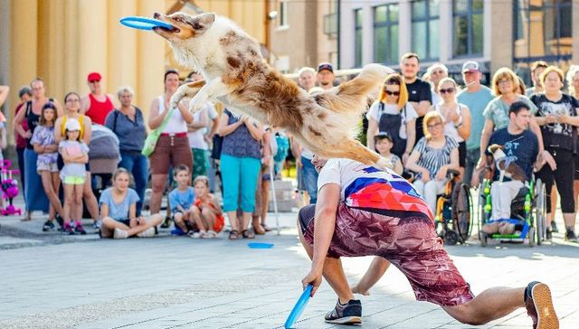 保定6人获评第六批 国家级非遗代表性传承人