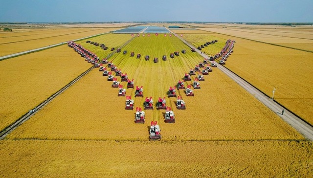 黑龙江：推进乡村全面振兴 率先建成农业强省