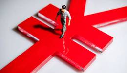 百亿杉杉重整背后