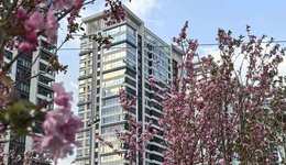 曾經(jīng)的“黃金地鐵城中村”，如今北京路的扛把子！