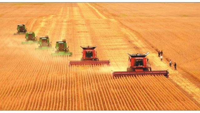 龙江农业记忆|粮食产量狂飙实录：1600亿斤背后的黑科技有多燃？