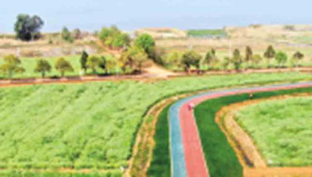 滇池绿道三个半岛段提前贯通