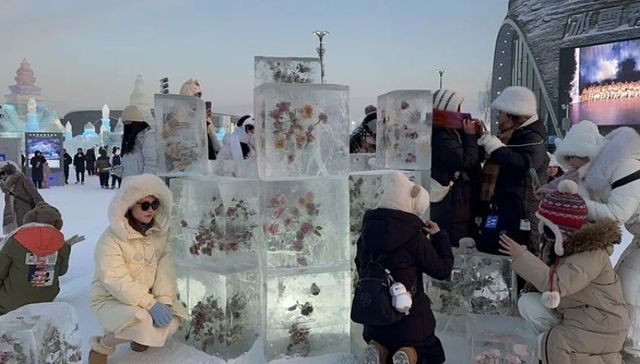 城市酷评 | 当AI说哈尔滨是“混血美人”时，它可没告诉你这些钞能力