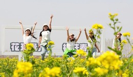 衡水景縣：“賞花+”多元融合 點燃春日鄉(xiāng)村游