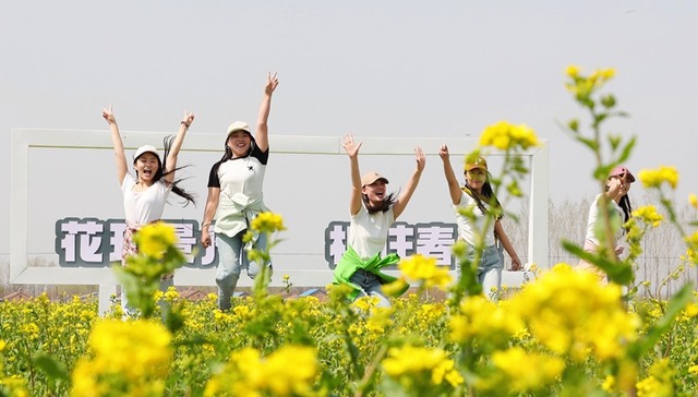 衡水景县：“赏花+”多元融合 点燃春日乡村游