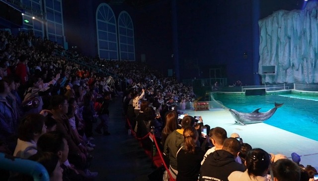 清明假期黑龙江旅游市场活力涌动，接待游客超538万人次