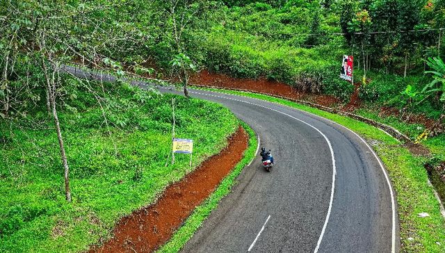保定市清明假期旅游市场火爆