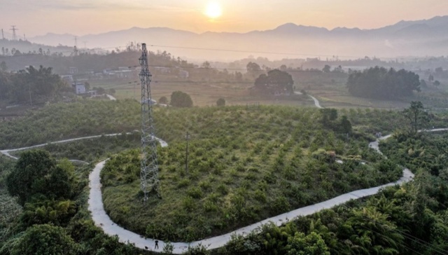 “+科技创新” 推动川派中医药全产业链发展