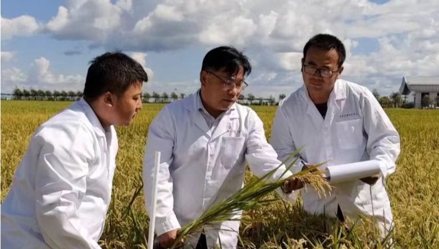 重要任务！黑龙江发布这三个“突破年”行动方案