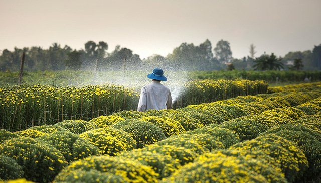 石津灌区掀起春灌用水高潮