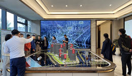 法拍房“捡漏”陷阱中，都是刚需们的眼泪