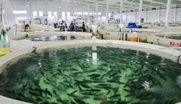 濟寧微山縣：一泓碧水如何破解中國縣域的世紀難題