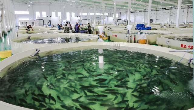 济宁微山县：一泓碧水如何破解中国县域的世纪难题