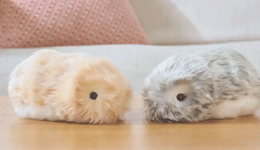 AI寵物來(lái)了，你愿意買一只嗎？