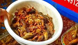 小龙虾身价暴跌，商家叫苦，销量持续上涨