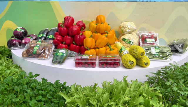 山东城市观察丨瓜菜飘香漫溢莘县，一场盛会谱写现代农业新篇章