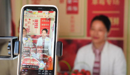 河北磁县：“一品一播”为县域经济插上“云翅膀”