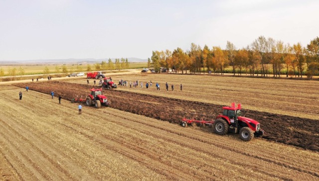 经济观察 |“数字食安”引爆新赛道！黑龙江农业大省的科技转型红利